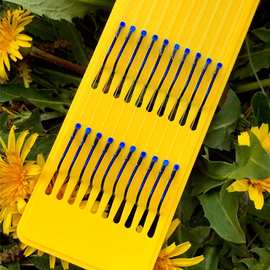 互聯(lián)網(wǎng)銷(xiāo)售的發(fā)展與未來(lái)展望